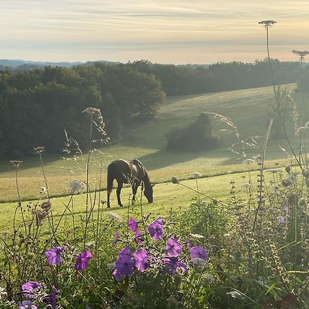 Вилла Domaine De Cazal - Gite 2 Pers Avec Piscine Au Coeur De 26 Hectares De Nature Preservee Сен-Сиприен Экстерьер фото