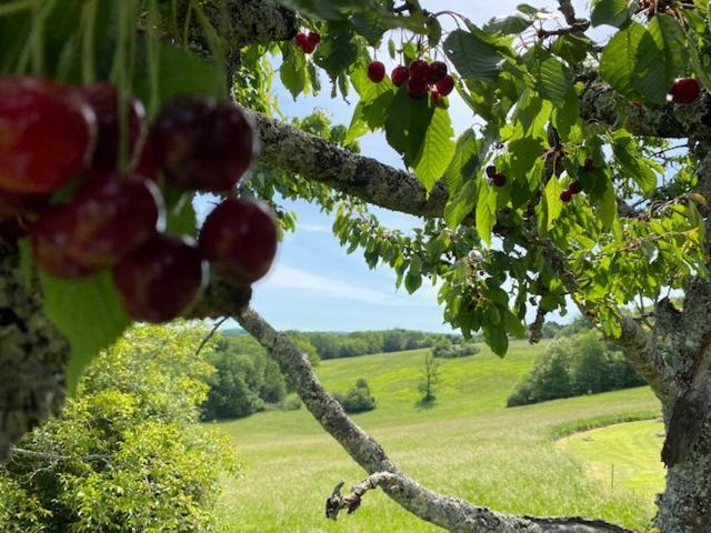 Вилла Domaine De Cazal - Gite 2 Pers Avec Piscine Au Coeur De 26 Hectares De Nature Preservee Сен-Сиприен Экстерьер фото